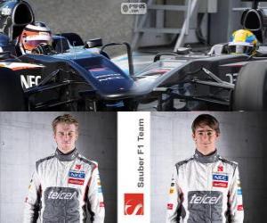 yapboz Sauber F1 Team 2013